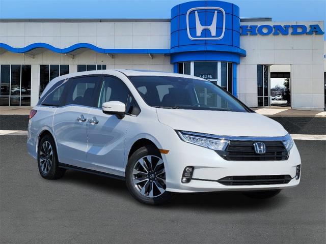 2024 Honda Odyssey Vehicle Photo in Lawton, OK 73505