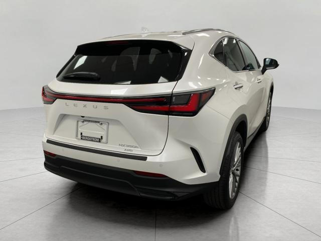 2024 Lexus NX 350h Vehicle Photo in Appleton, WI 54913