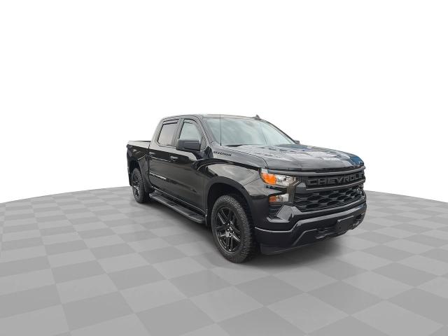 2022 Chevrolet Silverado 1500 Vehicle Photo in BOSTON, NY 14025-9684