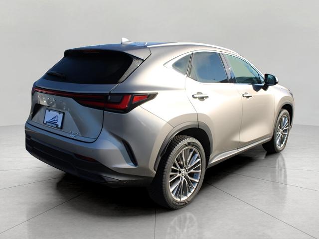 2022 Lexus NX Vehicle Photo in MADISON, WI 53713-3220