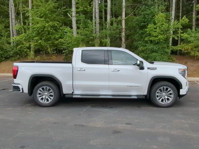 2025 GMC Sierra 1500 Vehicle Photo in ALBERTVILLE, AL 35950-0246