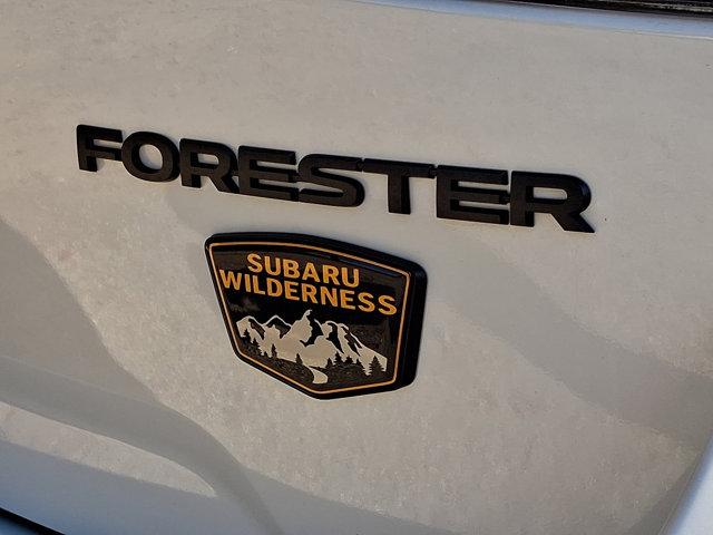 2024 Subaru Forester Vehicle Photo in CAPE MAY COURT HOUSE, NJ 08210-2432