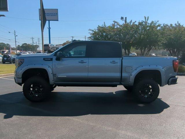 2024 GMC Sierra 1500 Vehicle Photo in ALBERTVILLE, AL 35950-0246