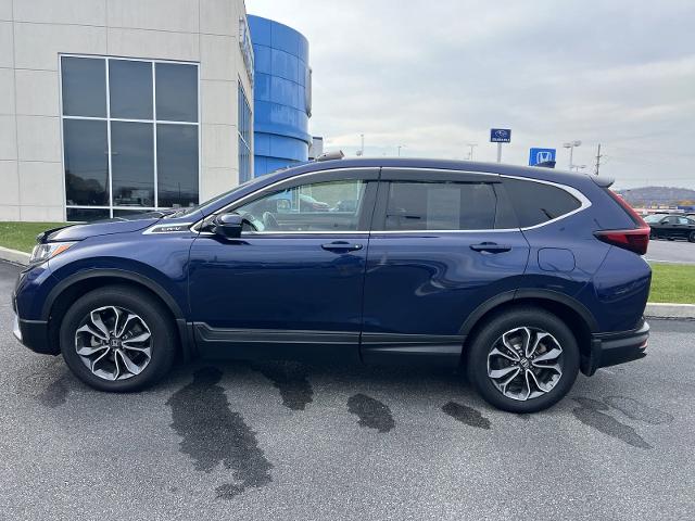 2020 Honda CR-V Vehicle Photo in INDIANA, PA 15701-1897