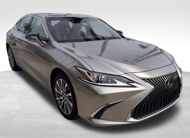 2019 Lexus ES Vehicle Photo in DELRAY BEACH, FL 33483-3294