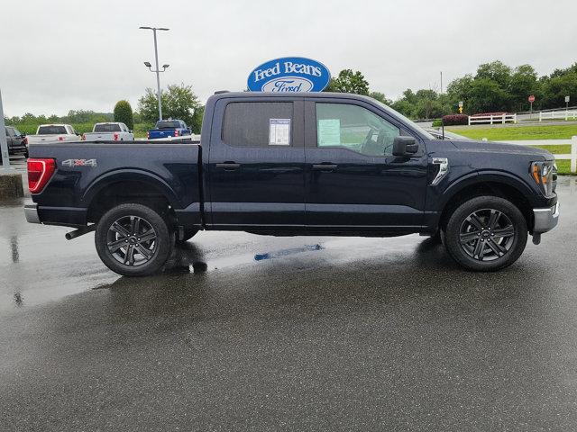 2023 Ford F-150 Vehicle Photo in Boyertown, PA 19512