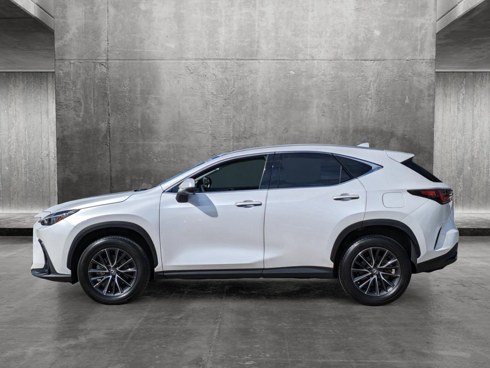 2022 Lexus NX 350 Vehicle Photo in Tampa, FL 33614