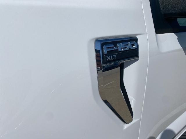 2021 Ford F-150 Vehicle Photo in Ennis, TX 75119-5114