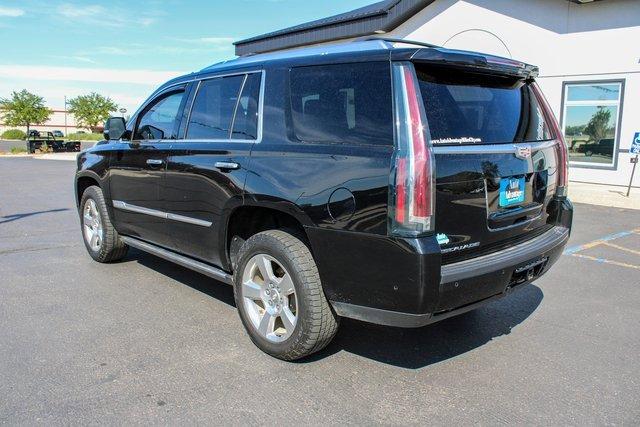 2017 Cadillac Escalade Vehicle Photo in MILES CITY, MT 59301-5791