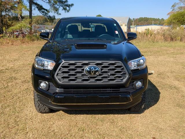 2023 Toyota Tacoma Vehicle Photo in ALBERTVILLE, AL 35950-0246