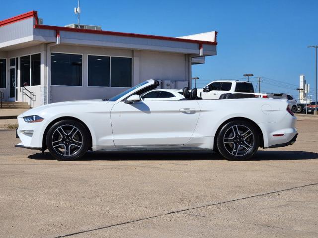 2019 Ford Mustang Vehicle Photo in Cleburne, TX 76033