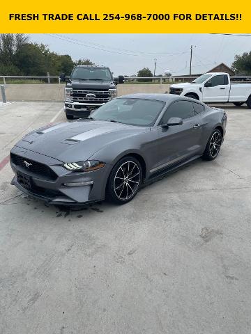 2022 Ford Mustang Vehicle Photo in STEPHENVILLE, TX 76401-3713