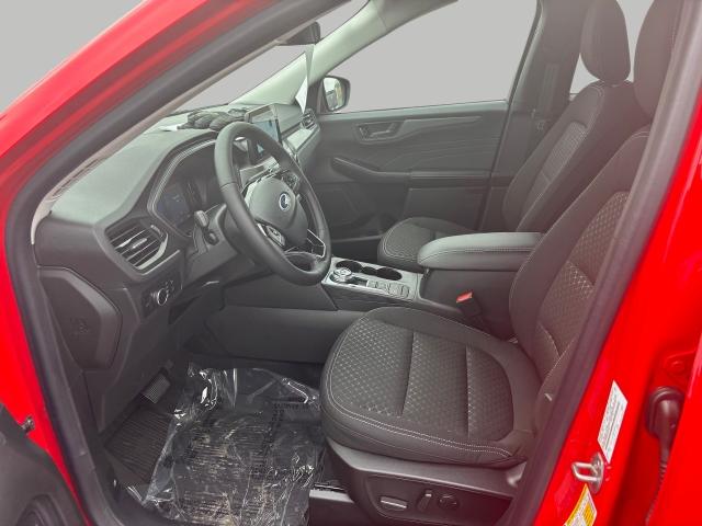 2024 Ford Escape Vehicle Photo in Neenah, WI 54956