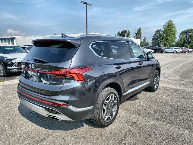 2022 Hyundai SANTA FE Vehicle Photo in WILLIAMSVILLE, NY 14221-2883