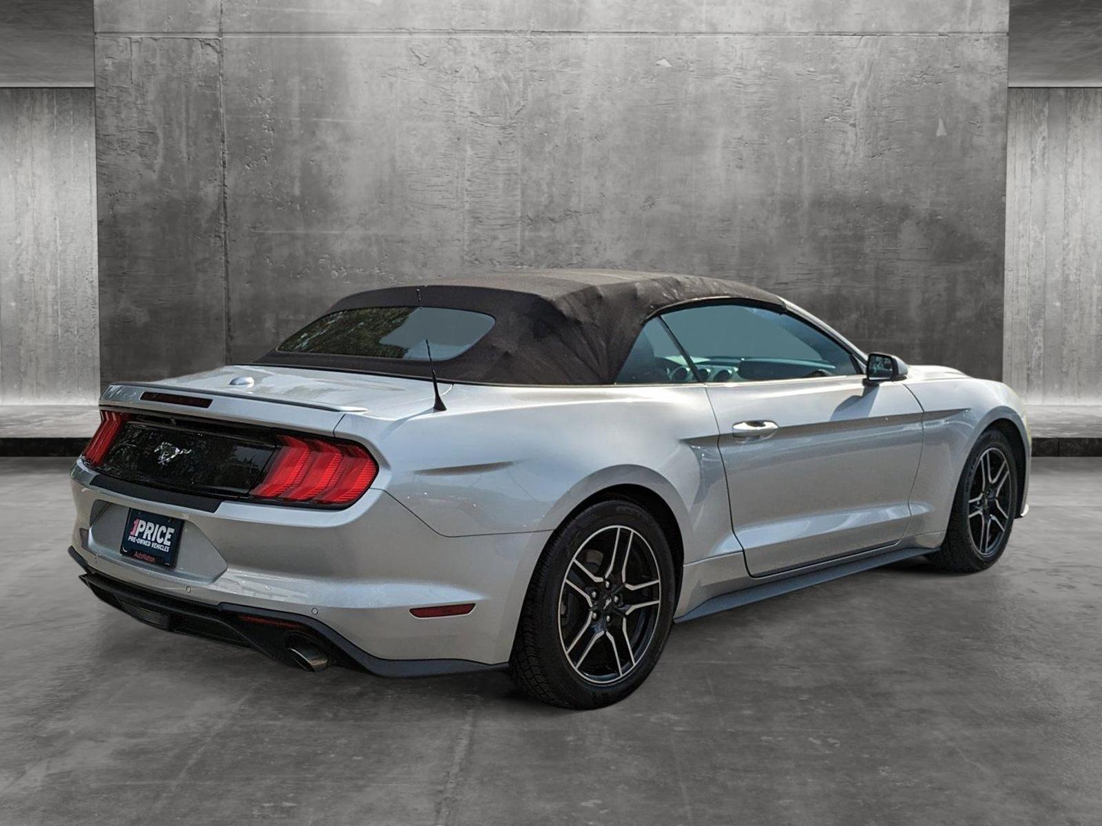 2019 Ford Mustang Vehicle Photo in Jacksonville, FL 32244