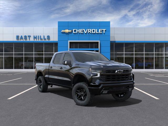 2024 Chevrolet Silverado 1500 Vehicle Photo in DOUGLASTON, NY 11362-1062