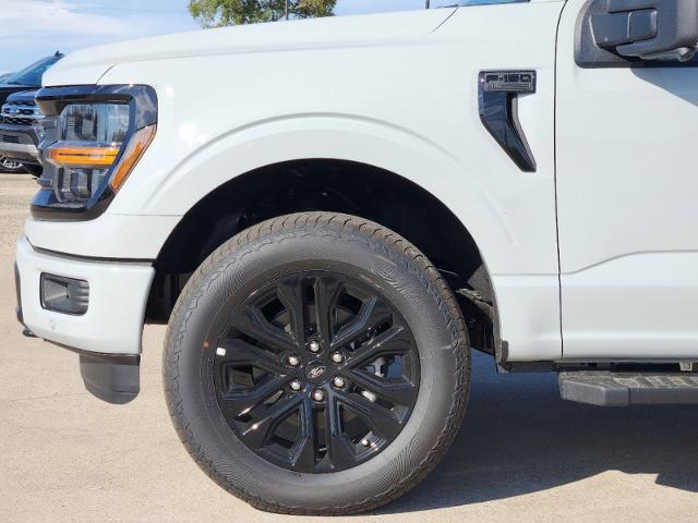 2024 Ford F-150 Vehicle Photo in Pilot Point, TX 76258-6053