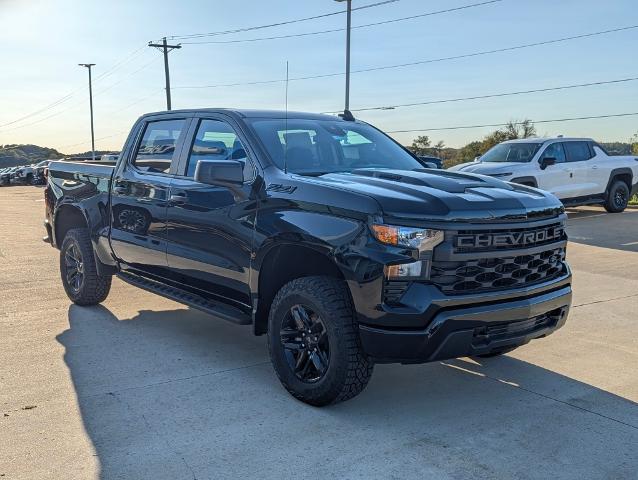 2024 Chevrolet Silverado 1500 Vehicle Photo in POMEROY, OH 45769-1023