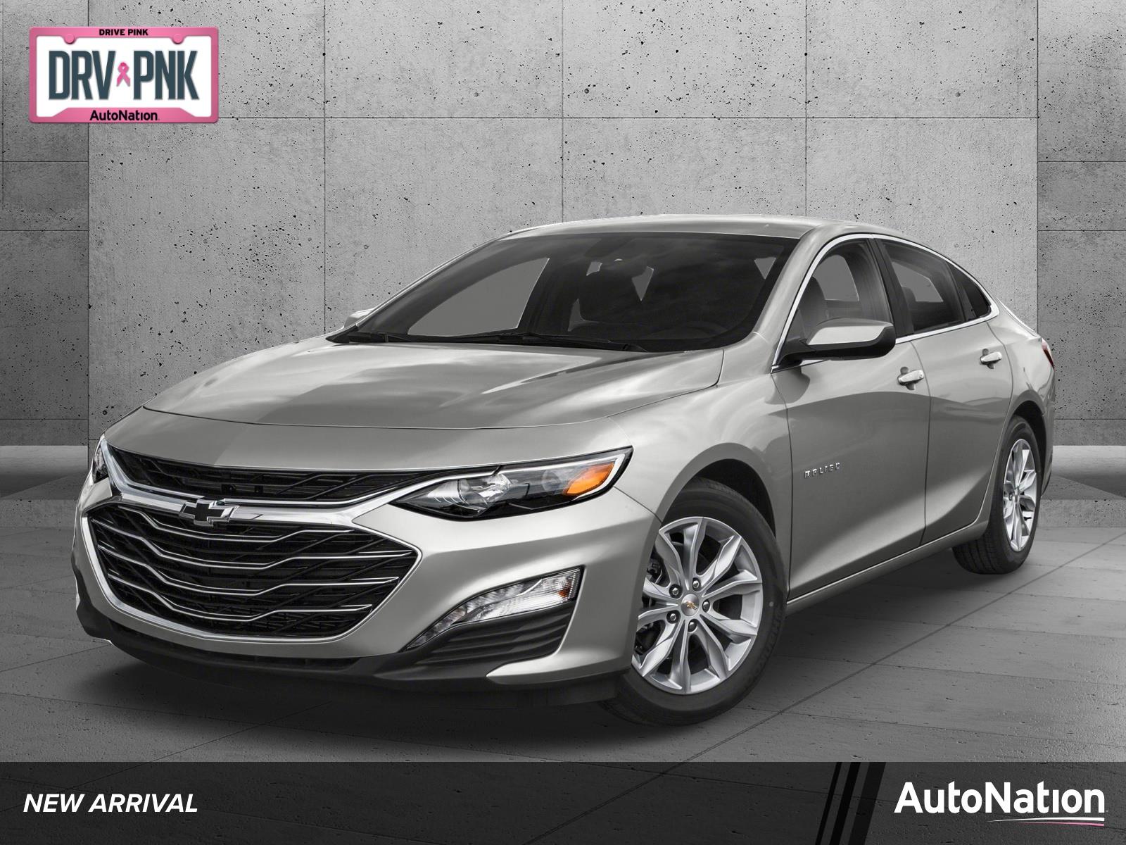 2019 Chevrolet Malibu Vehicle Photo in ORLANDO, FL 32812-3021