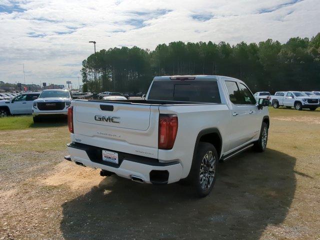 2025 GMC Sierra 1500 Vehicle Photo in ALBERTVILLE, AL 35950-0246