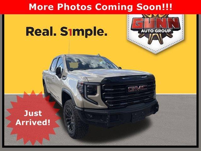 2023 GMC Sierra 1500 Vehicle Photo in SELMA, TX 78154-1459