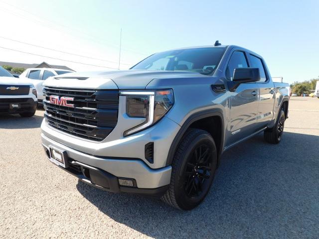 2025 GMC Sierra 1500 Vehicle Photo in GATESVILLE, TX 76528-2745