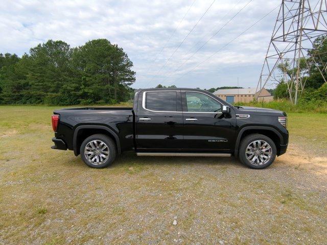 2024 GMC Sierra 1500 Vehicle Photo in ALBERTVILLE, AL 35950-0246