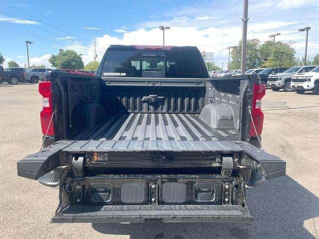 2024 Chevrolet Silverado 1500 Vehicle Photo in GREELEY, CO 80634-4125