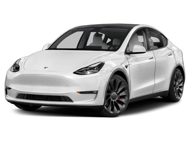 2023 Tesla Model Y Vehicle Photo in San Antonio, TX 78230