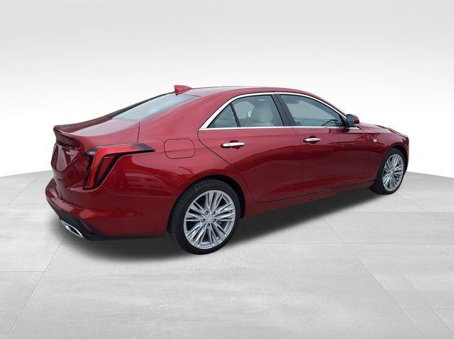 2025 Cadillac CT4 Vehicle Photo in DELRAY BEACH, FL 33483-3294