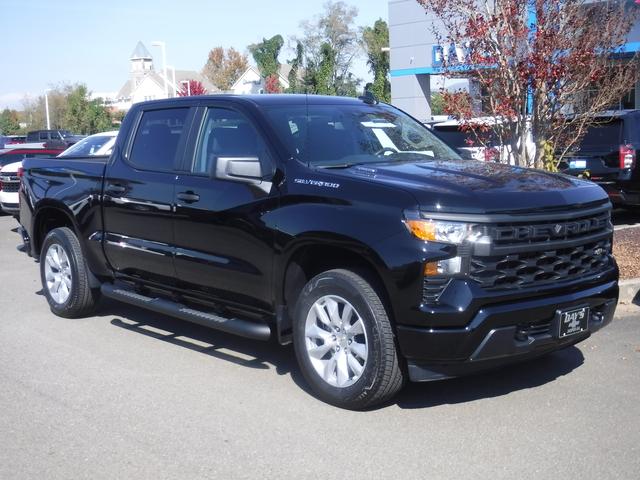 2025 Chevrolet Silverado 1500 Vehicle Photo in JASPER, GA 30143-8655