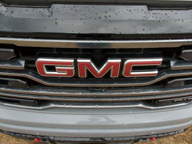 2025 GMC Sierra 1500 Vehicle Photo in ALBERTVILLE, AL 35950-0246