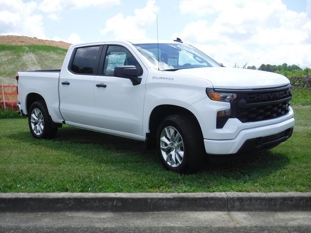 2024 Chevrolet Silverado 1500 Vehicle Photo in JASPER, GA 30143-8655