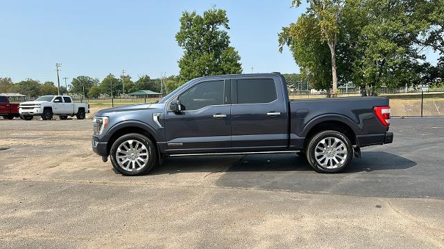 Used 2021 Ford F-150 Limited with VIN 1FTFW1ED4MFA98897 for sale in Florence, AL