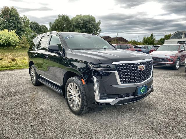 2021 Cadillac Escalade Vehicle Photo in WILLIAMSVILLE, NY 14221-2883