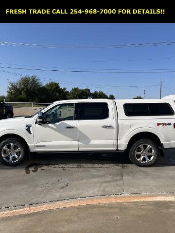 2021 Ford F-150 Vehicle Photo in STEPHENVILLE, TX 76401-3713