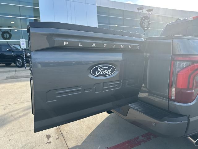 2024 Ford F-150 Vehicle Photo in Terrell, TX 75160