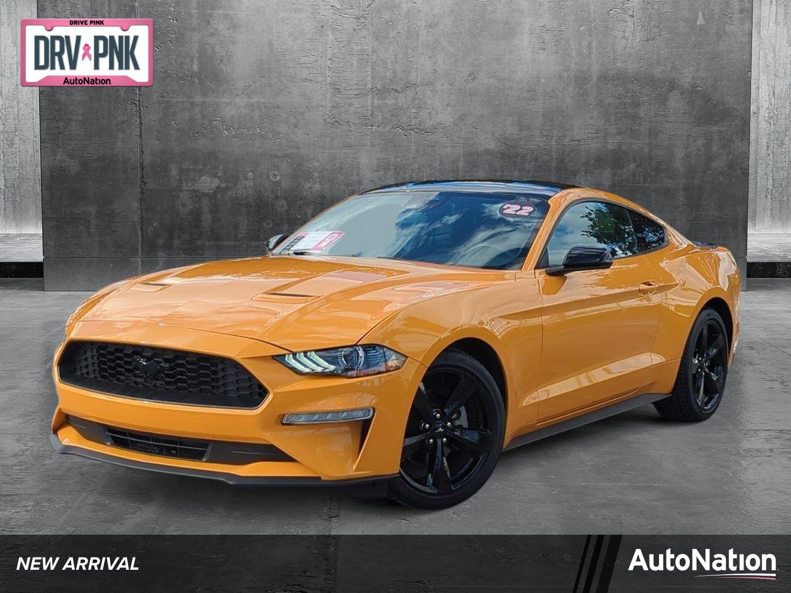 2022 Ford Mustang Vehicle Photo in Margate, FL 33063