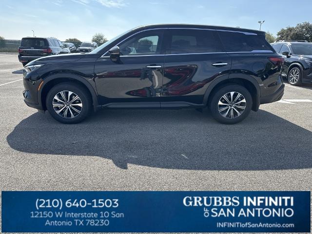 2024 INFINITI QX60 Vehicle Photo in San Antonio, TX 78230