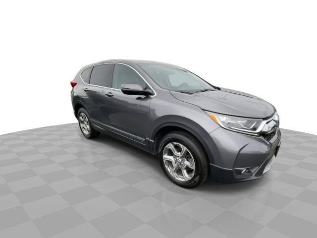 2019 Honda CR-V Vehicle Photo in WILLIAMSVILLE, NY 14221-4303