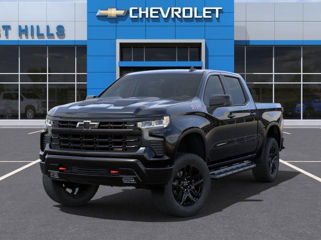 2025 Chevrolet Silverado 1500 Vehicle Photo in FREEPORT, NY 11520-3923