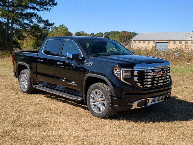 2025 GMC Sierra 1500 Vehicle Photo in ALBERTVILLE, AL 35950-0246