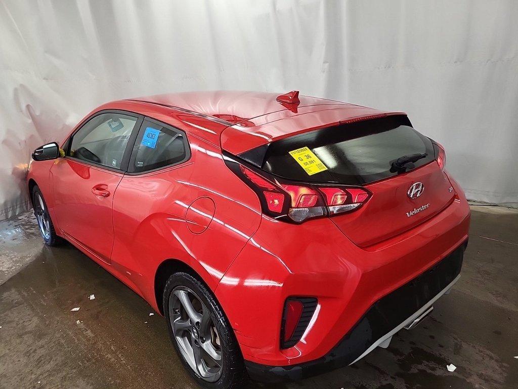 2019 Hyundai Veloster Vehicle Photo in AKRON, OH 44320-4088