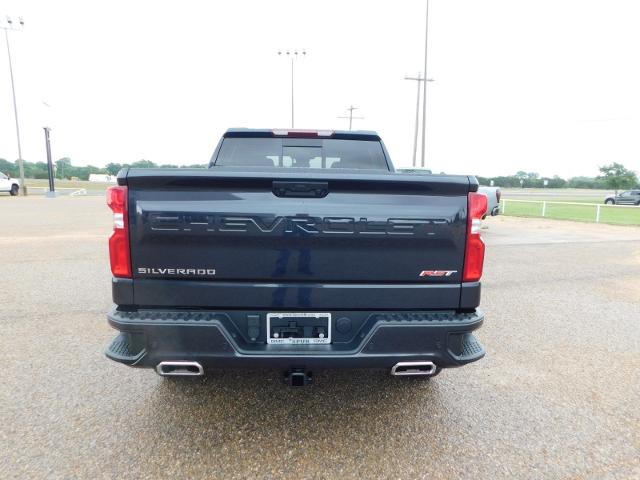 2024 Chevrolet Silverado 1500 Vehicle Photo in GATESVILLE, TX 76528-2745