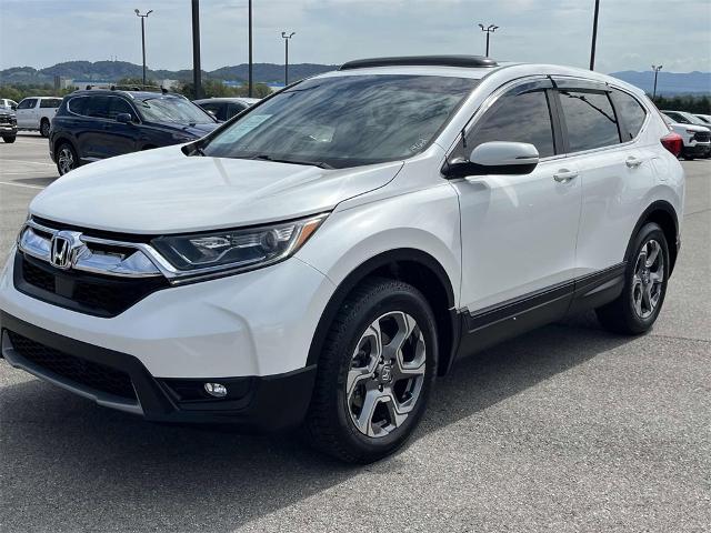 2019 Honda CR-V Vehicle Photo in ALCOA, TN 37701-3235