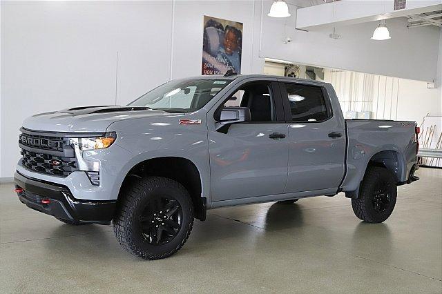 2025 Chevrolet Silverado 1500 Vehicle Photo in MEDINA, OH 44256-9001