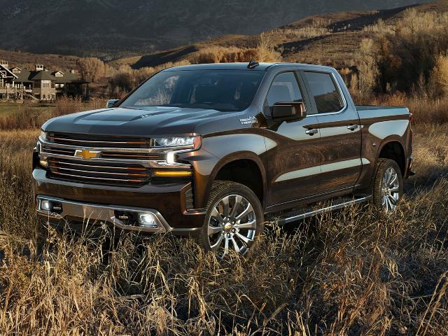 2020 Chevrolet Silverado 1500 Vehicle Photo in MEDINA, OH 44256-9631