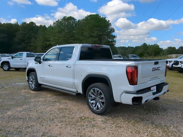 2025 GMC Sierra 1500 Vehicle Photo in ALBERTVILLE, AL 35950-0246