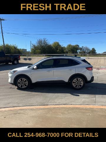 2020 Ford Escape Vehicle Photo in STEPHENVILLE, TX 76401-3713