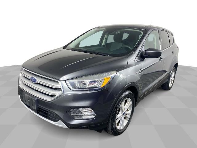 2019 Ford Escape Vehicle Photo in ALLIANCE, OH 44601-4622